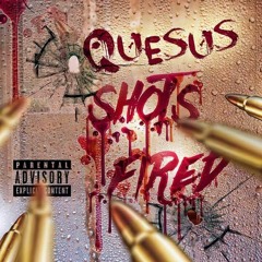 QUESUS CHICKEN CHICKEN FREESTYLE