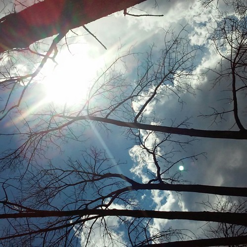 Real talk No Nonsense listen carefully you would understand let's get it LGA all day H,PIZZY SAY one love and peace to everybody out there that's doing a music and keeping it real listen carefully what's up England what's up Germany what's up UK what's go