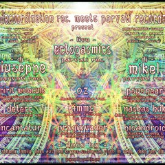 PROG INVADER LIVE @ Theaterfabrik Munich DeCoOrdiNation Rec. meets Parvati Rec.