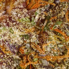 Space Kick - Planning Sativa