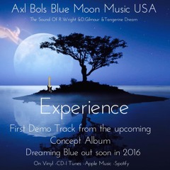 Pure Emotional  Experience Guitar Solo over Gilmours Hiwat Amp 2015 David Gilmour Sound -