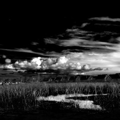 In The Dark