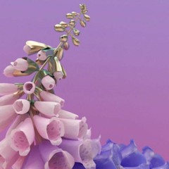 Flume new track -Wall F--K