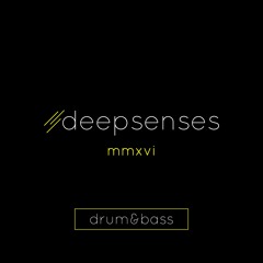 DEEPSENSES - Ellie Golding Lights (dnb Remix)