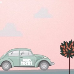 The Mad Socks - Salut Prietene