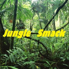 Jack Ü VS Mike Cervello & Cesqeaux - Jungle Smack(Alex Sinesi Mashup)Played by Jack Ü,Skrillex&Diplo