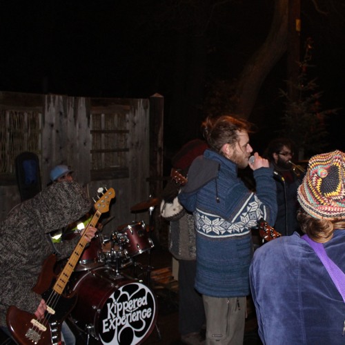 octogenarian revolution (live)-  the whippet beans