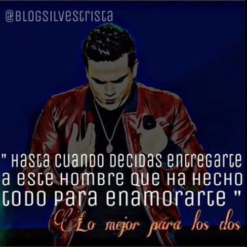 Materialista silvestre dangond Mix