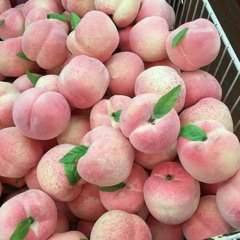 *Just Tryna Fuck* (Feat. Yung Pedro)