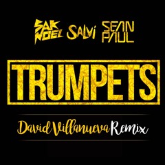 Sak Noel x Sean Paul - Trumpets (David Villanueva Private Remix)[FREE DOWNLOAD]