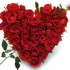 The Misogynist's Lament (demo)