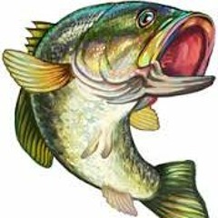 Bassline