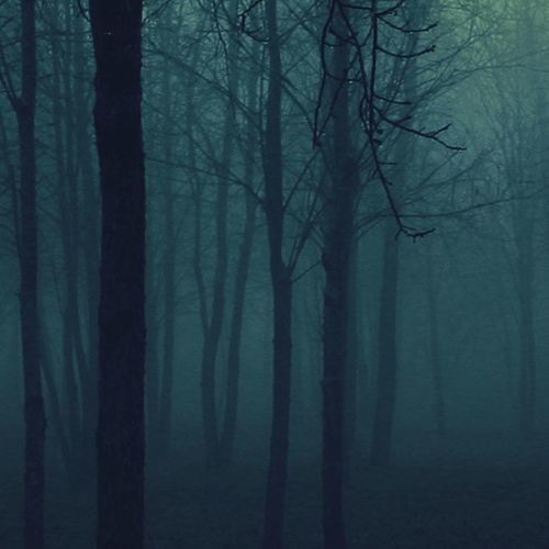 Boards Of Canada - Tears From The Compound Eye