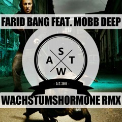 Farid Bang x Mobb Deep - Wachstum Survival Of The Fittest Deutschrap Remix Mashup (SWAT)