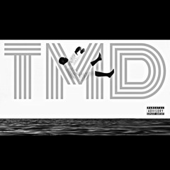 TMD A$AP Ferg - New Level ft. Future gmix freestyle