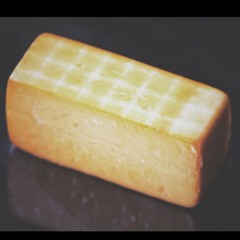 x Bingleton - GOUDA