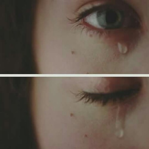 مخلصه كارول سماحه