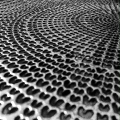 I Will Not Be Attending Your Funeral, If You Cannot Attend Mine.