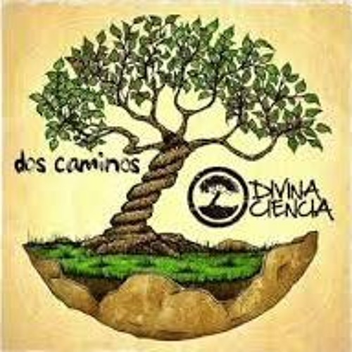 Divina Ciencia - Igualdad