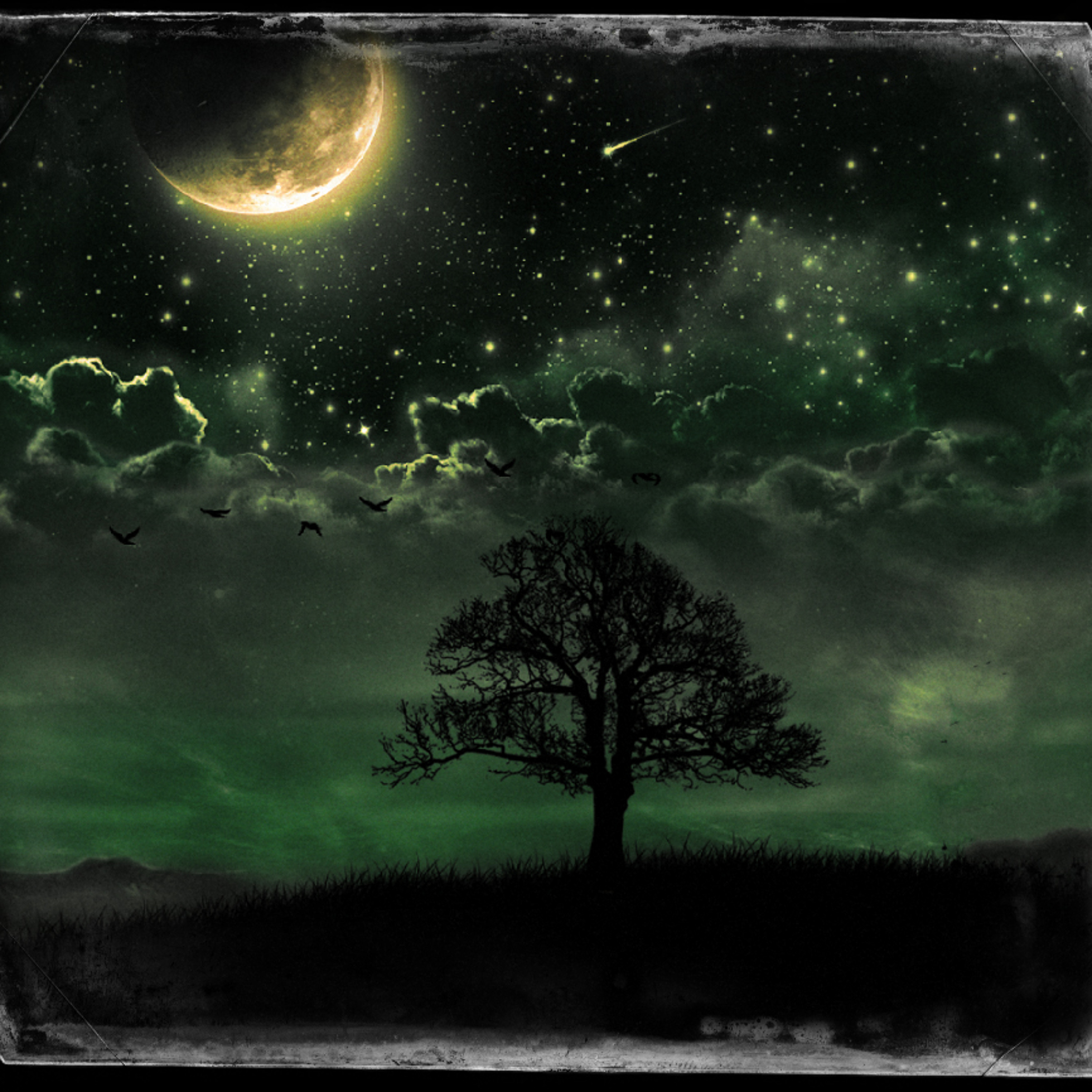 Night For You episode artwork