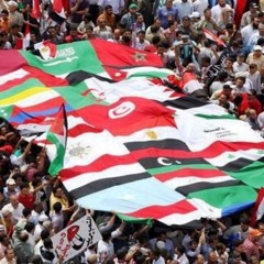 إذا الشعب يوماً أراد الحياة فلا بد للحق أن ينتصر