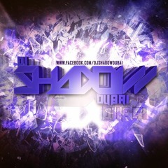 Best Of 2015 Mashup - DJ Shadow Dubai & DJ Ansh