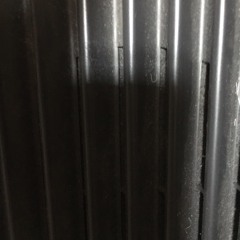 The Reason We All Fear Failure