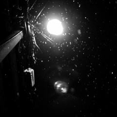 눈 내리는 동묘