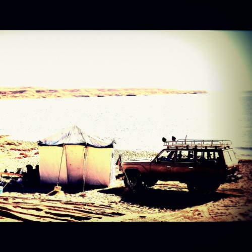 Gothic Sinai |  سيناء القوطية