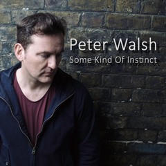 Perfect Farewell (feat Jane Walsh)