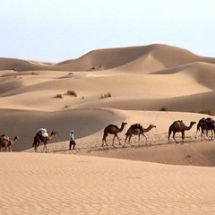 چهار مضراب کاروان