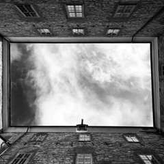 Playzyt - Überbevölkerung