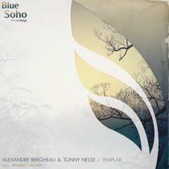 Alexandre Bergheau & Tonny Nesse - Templar (Original Mix)
