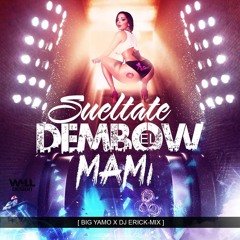 SUELTATE EL DEMBOW MAMI [MIXTAPE] - [ BIG YAMO X DJ ERICK - MIX ] - ERICK MAGALLANES V