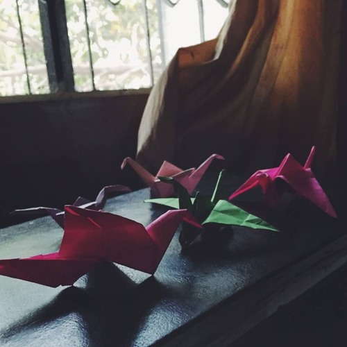 In the mood for samosa party