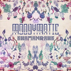 MoodyMatic - Warm Sounds (forthcoming april 20th cassette, CD & digital)