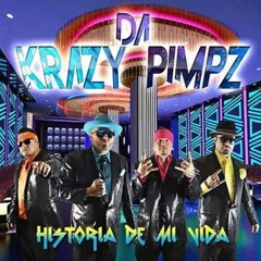 Te Ves Buena - Da Krazy Pimpz Remix