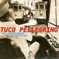 Na Contramão do Progresso/ Tuco Pellegrino