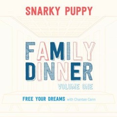 Snarky Puppy - Free Your Dreams With Chantae Cann