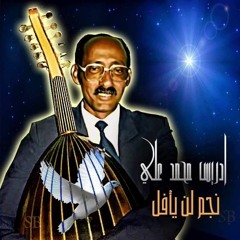 Idris Mohammed Ali Eritrean music ادريس محمد علي