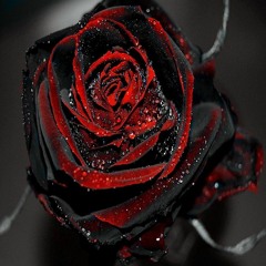Depeche Mode - My Little Univers