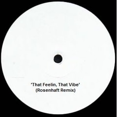 AnExpresso - 'That Feelin, That Vibe' (Rosenhaft Remix)UNRELEASED