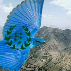 Eritrean Music Ibrahim goret ابراهيم قورت