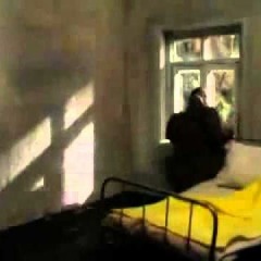 Mandarinebi & Galaktioni