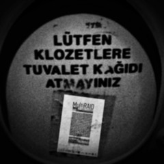 MultiRAID 2016 Sound Diaries