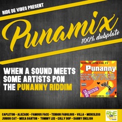 Ride De Vibes present - The Punamix 100% Dubplate