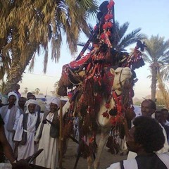 ادريس محمد علي  Eritrean Music Idris Mohammed