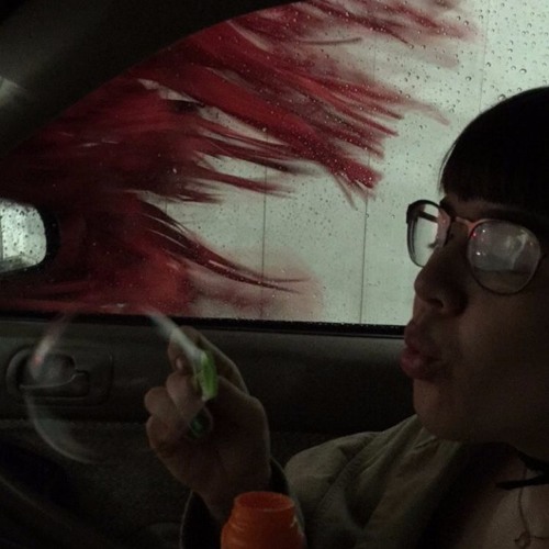 A Song Dedicated to the Memory of Stormy the Rabbit - Cover of AJJ