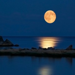 عبد الرحمن محمد موال شبيهك بدر التم