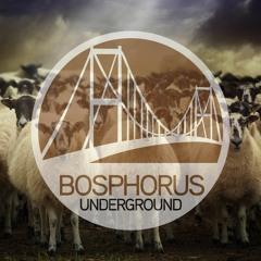 David Herencia - Herd Sheep (Original Mix) [Bosphorus Underground Recordings]